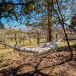 oustalet_bedion_lasousto_conciergerie_provence12